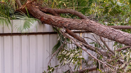 M.A.E Contracting crew repairing storm-damaged wooden fence to protect yard